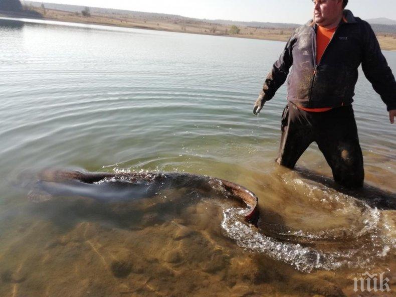 Рибарите скочиха срещу източването на язовирите