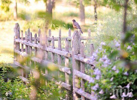 ЗВЕЗДИТЕ ГОВОРЯТ: Днес е най-доброто време за комуникация, забранено е да показвате гнева си