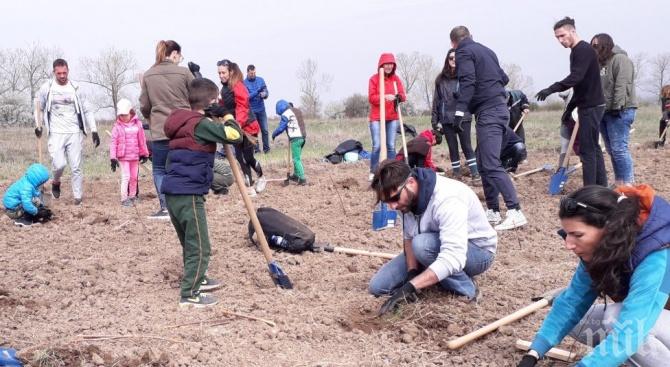 Започна засаждането на Новата гора на София