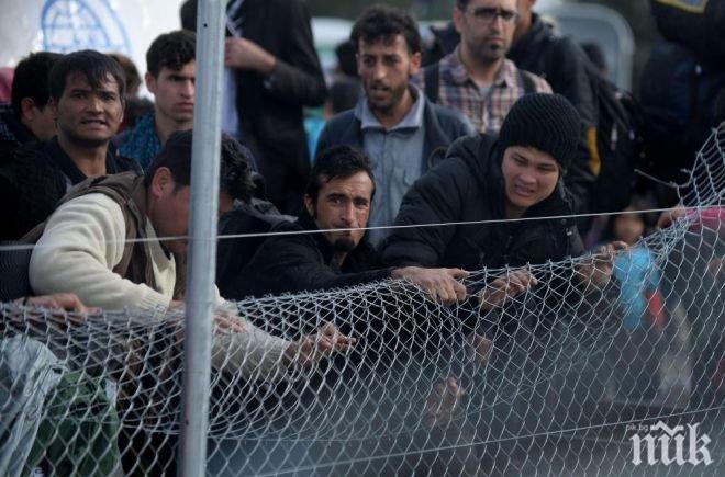 Турските власти заловиха 950 мигранти близо до границата с Гърция