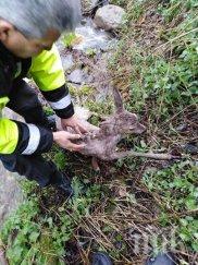 спасиха сърничка витоша фандъкова похвали екипа фейсбук