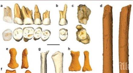 откриха неизвестен братовчед хомо сапиенс разкопки филипините снимки