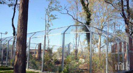 удължиха срока оферти животни зоологическата градина пловдив