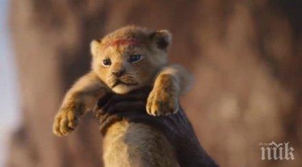 появи трейлър римейка цар лъв видео