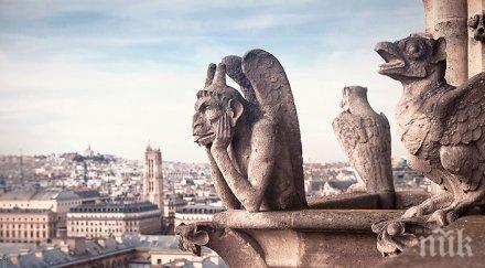 свалиха статуите покрива нотр дам видео