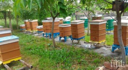 пенсионер остана без кошери 200 врачанско