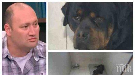 филм ужасите проговори бащата деца нахапани ротвайлери кучетата атакували цел убиват