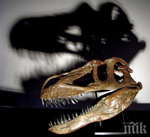 НАХОДКА: Откриха запазени отпечатъци от динозавърска кожа