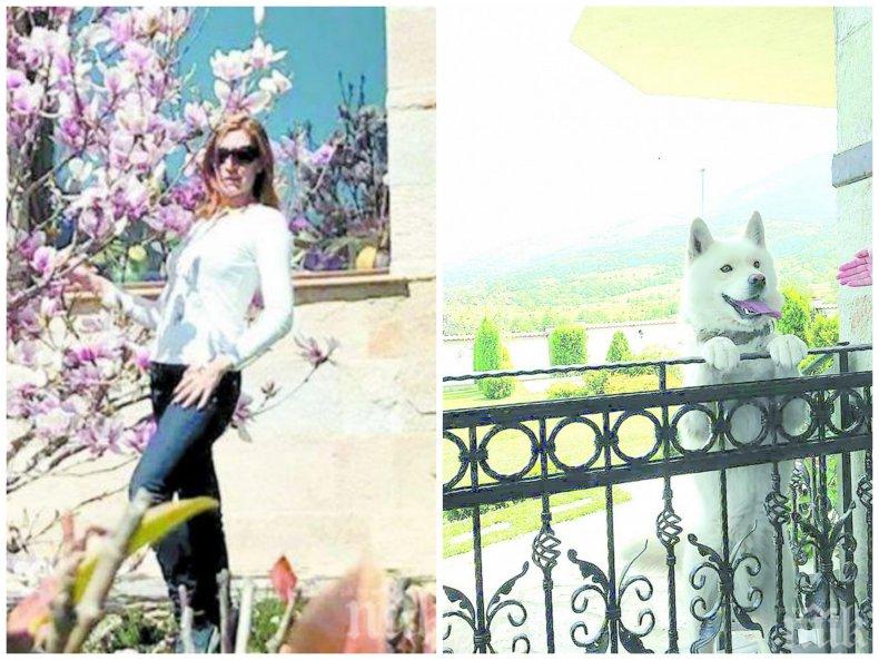 ПЪРВО В ПИК TV: Николина Ангелкова отвръща на удара за имотите си - голямата къща била на родителите на съпруга й от 2006 г., снимала се там, докато била на гости (ОБНОВЕНА)