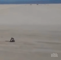 ШОК: Снимаха извънземно в мексиканската пустиня Чихуахуа (ВИДЕО)