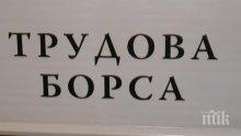 Трудова борса в Перник предлага 100 работни места
