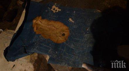 тайно мазе изуми баща син вижте откриха снимки