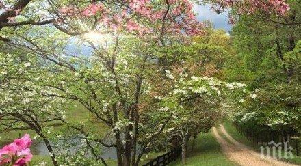 звездите говорят обяд внимавате започвайте нищо важно