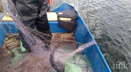 арестуваха 500 мрежи язовир батак спасиха 100 риба снимки