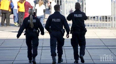 полицията холандския град керкраде крак преследва дива гонка улиците валаби