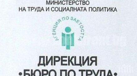 сектори голям брой свободни работни места страната