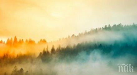 синоптиците предупреждават слани цветница