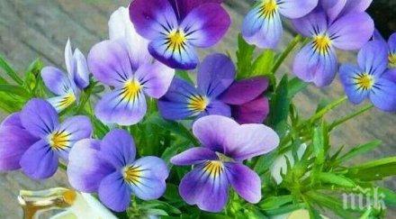 звездите говорят мощен ден взимайте важни решения