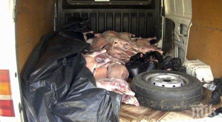 спипаха близо тон нелегално агнешко