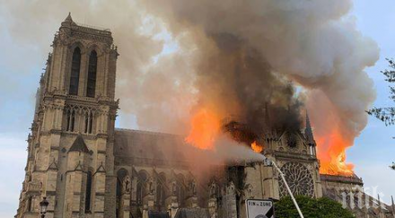 разпитали души заради пожара нотр дам