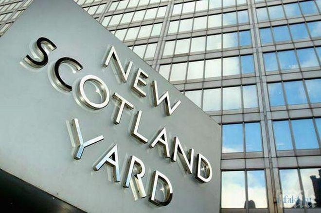 Врязалият се с автомобил в колата на украинския посланик в Лондон - психично болен 