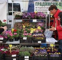 Решено: Всеки месец голям фермерски пазар в София 