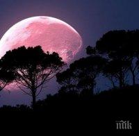 ДО МИНУТИ: Настъпва розовото пълнолуние - ден за ново начало