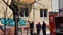 Огнеборци гасиха подпалено дърво пред жилищна кооперация в центъра на София (СНИМКИ)