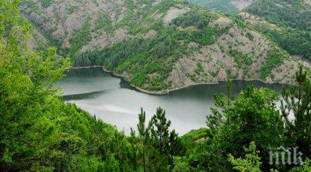 тежки глоби заради зеления хаос натура 2000