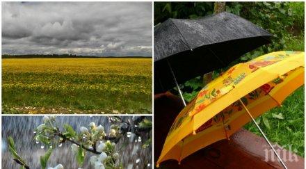 хладна облачна събота носете чадърите вали карта