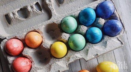 боядисват яйца рекордьори щастливи кокошки великден пловдив снимка