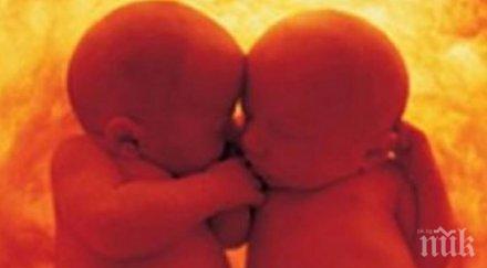 невиждано бой близнаци утробата майката видео