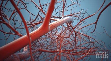 съдови хирурзи преглеждат безплатно панагюрище