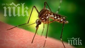 погват кърлежите комарите стара загора