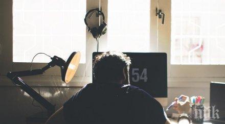 добра концентрация офиса разтягайте носете котката