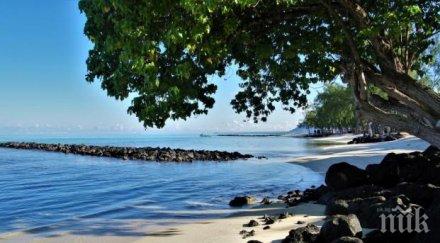 морени нападат туристи ранени