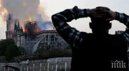 пращат лувъра оцелелите нотр дам картини