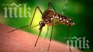 Погват кърлежите и комарите в Стара Загора