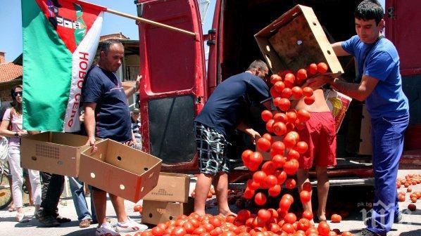 Удрят нелегалния внос на домати