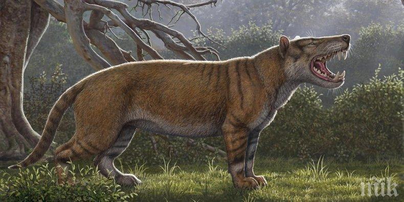 Откриха древен лъв, по-голям от полярната мечка