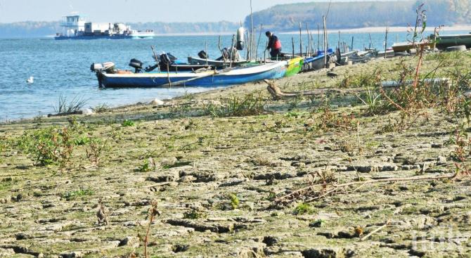 Падна нивото на Дунав край Свищов