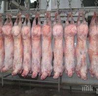 От 20 април кланиците кандидатстват по de minimis за реализация на българско агнешко месо