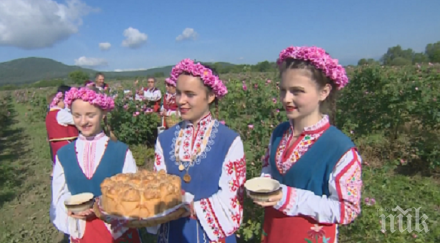 нов закон гласи 1000 лева глоба маслодайна роза градината