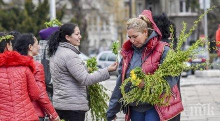 всеки десен минути пишат акт върбови клонки цветница