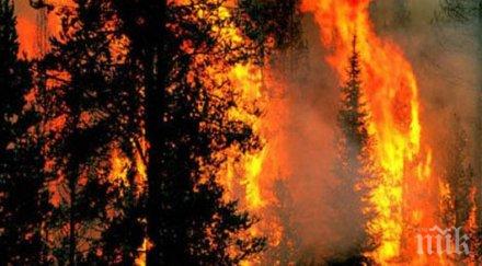 огнен 200 горски пожара бушуват полша