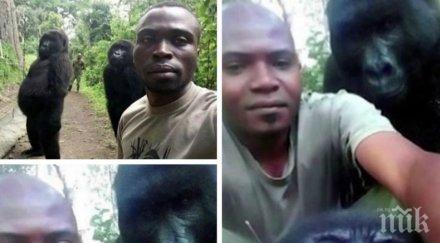 мрежата селфи спасители две горили конго превърна хит