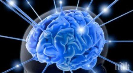 мозъчен имплант превръща мислите реч