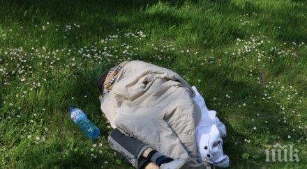 грозен инцидент пловдив свалиха човек линейка захвърлиха улицата куче