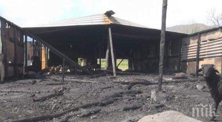 пожар изпепели овчарник 100 агнета