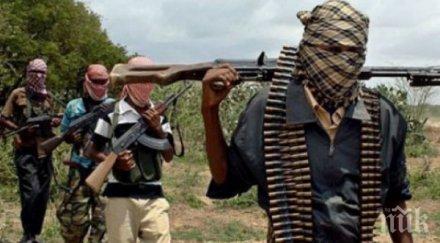 убиха британски доброволец нигерия